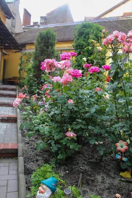 Color Home Hermannstadt 1 Экстерьер фото